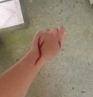 /album/interraction/dsc-0041-1-jpg/